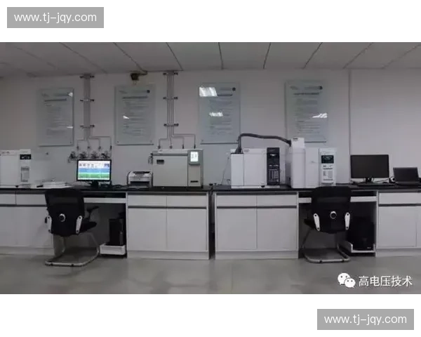 基于动态加速度数据的运动状态精准分析与智能评估方法研究关键技术